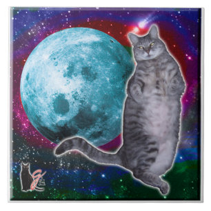 Carreau Carreleur en céramique Moon Dancer Bosco