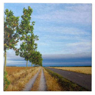Carreau Carretera Hacia Reliegos