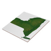 Carreau Carte de l'État de New York (Côté)