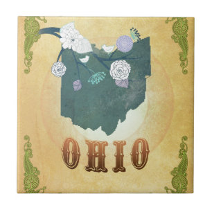 Carreau Carte de l'Ohio avec de beaux oiseaux