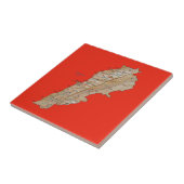 Carreau Carte du Liban (Côté)