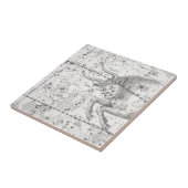 Carreau Carte du plat XIV de constellations (Côté)