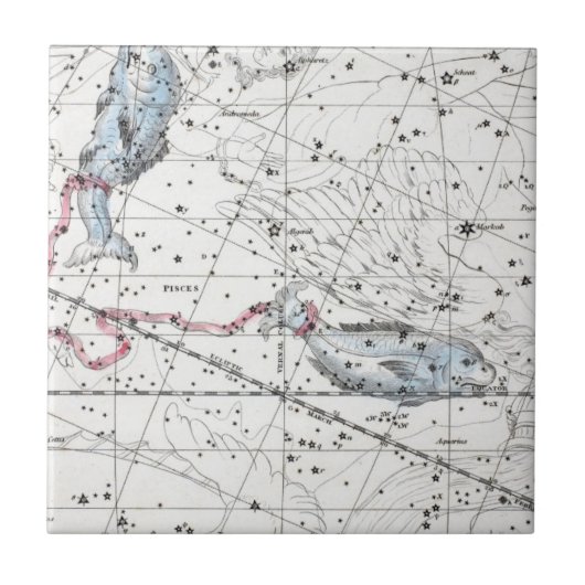 Carreau Carte du plat XXII de constellations (Devant)
