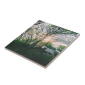 Carreau Carte magnétique (Côté)