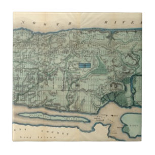 Carreau Carte sanitaire et topographique de New York City