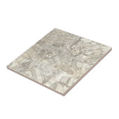 Carreau Carte topographique de Rome antique, Italie (Côté)