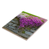 Carreau Cartouche Phlox été (Côté)