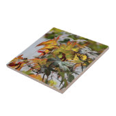 Carreau cas (Côté)