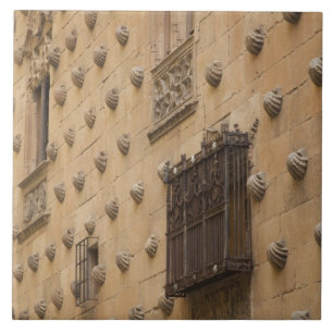 Carreau Casa de las Conchas, Maison des Coquillages