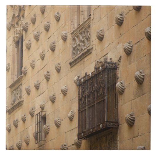 Carreau Casa de las Conchas, Maison des Coquillages (Devant)