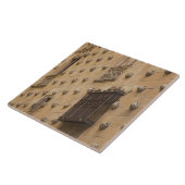 Carreau Casa de las Conchas, Maison des Coquillages (Côté)