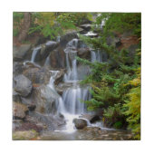 Carreau Cascade (Devant)