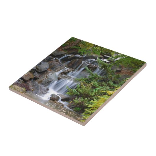 Carreau Cascade (Côté)