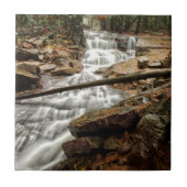 Carreau Cascade 4 (Devant)