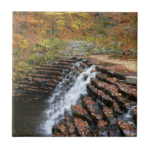 Carreau Cascade à Laurel Hill State Park II