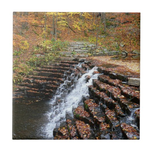 Carreau Cascade à Laurel Hill State Park II (Devant)