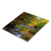 Carreau Cascade automnale dans le soleil du matin (Côté)