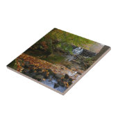 Carreau Cascade automnale et Creek Pennsylvania Nature (Côté)