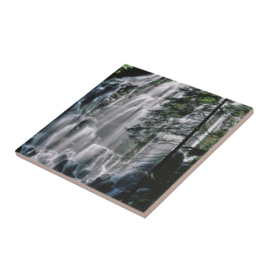 Carreau Cascade dans la forêt, Oregon (Côté)