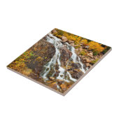 Carreau Cascade Dans Le Parc National Du Grand Teton (Côté)