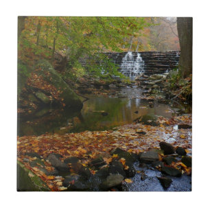 Carreau Cascade d'automne et ruisseau de Pennsylvanie Natu