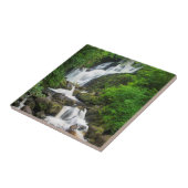 Carreau Cascade de Torc paysage, Irlande (Côté)