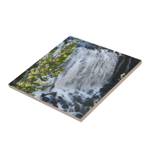 Carreau Cascade de Yellowstone (Côté)