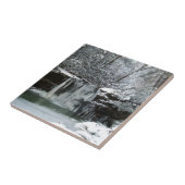 Carreau Cascade d'hiver de Milou (Côté)