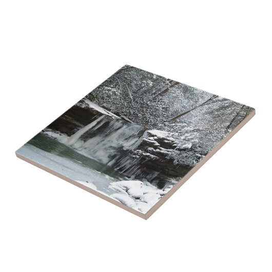 Carreau Cascade d'hiver de Milou (Côté)