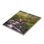 Carreau Cascade douce Brook (Côté)