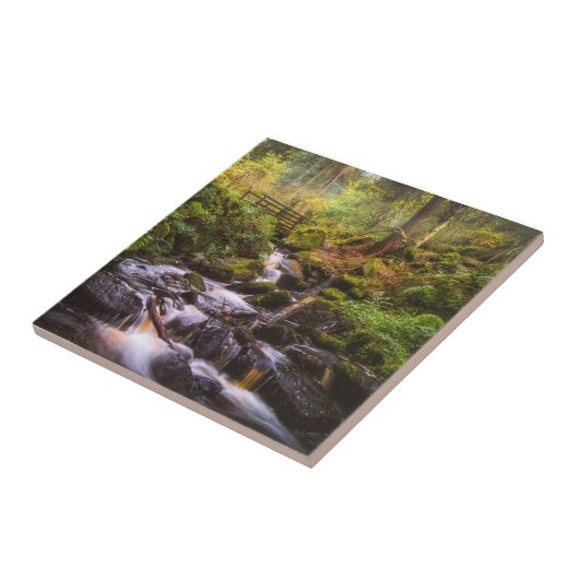 Carreau Cascade douce Brook (Côté)