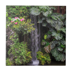 Carreau Cascade du jardin luxuriant, Chine