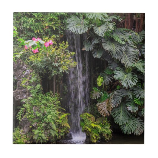 Carreau Cascade du jardin luxuriant, Chine (Devant)