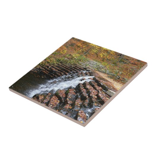 Carreau Cascade du parc d'état Laurel Hill State Park II (Côté)