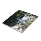 Carreau Cascade Falls dans le parc national de Yosemite (Côté)