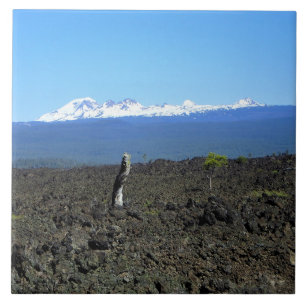 Carreau Cascades and lava rocks, OR