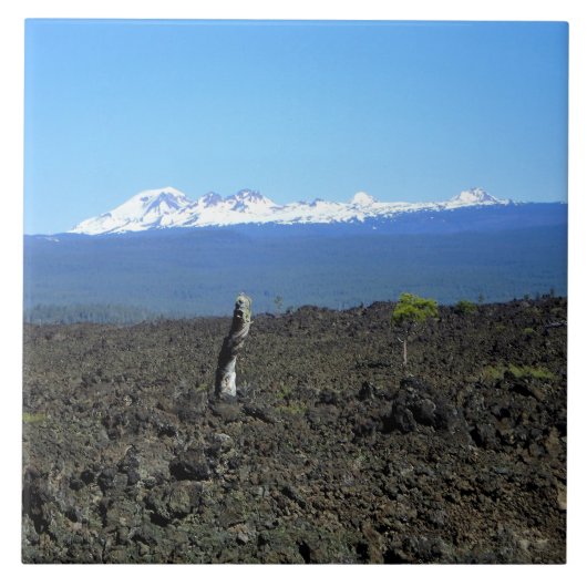 Carreau Cascades and lava rocks, OR (Devant)