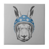 Carreau Casse-cou de lapin (Devant)