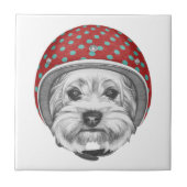 Carreau Casse-cou de Yorkshire Terrier (Devant)