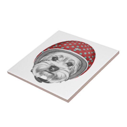 Carreau Casse-cou de Yorkshire Terrier (Côté)