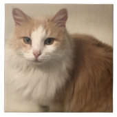 Carreau Cat (Devant)