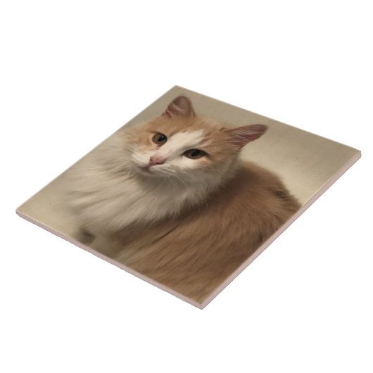 Carreau Cat (Côté)