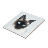 CARREAU CAT 11 (Côté)