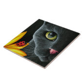 Carreau Cat 510 (Côté)