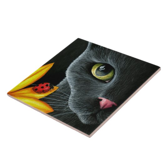 Carreau Cat 510 (Côté)