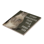 Carreau Cat "ARRÊTE DE LIRE CE TILE & FEED ME" Tuile (Côté)
