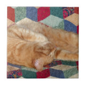 Carreau Cat Napping (Devant)