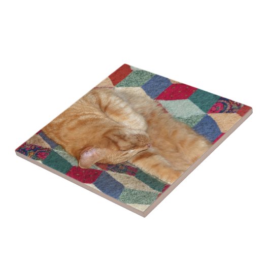 Carreau Cat Napping (Côté)