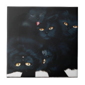 Carreau Cat noir (Devant)