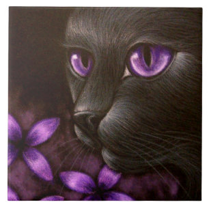 Carreau CAT NOIR avec la TUILE VIOLETTE de FLEURS